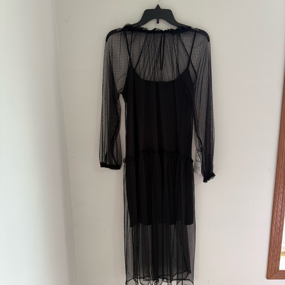 Elegant Black Sheer Dress